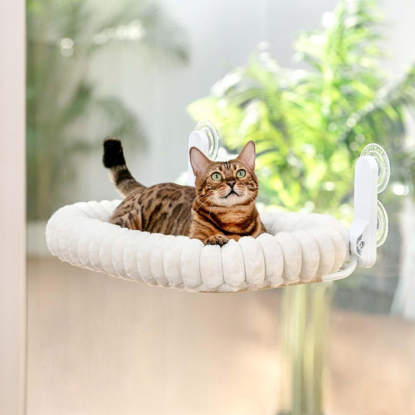 Luxury Window-Mounted Cat Hammock – Cozy Suction Cup Perch for Sunbathing & Lounging